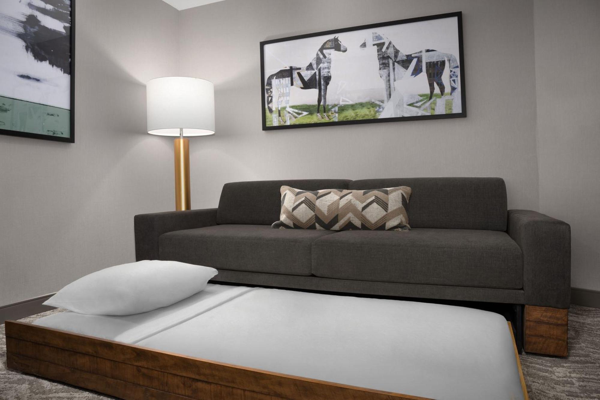 Springhill Suites By Marriott Lexington Fritz Farm Εξωτερικό φωτογραφία